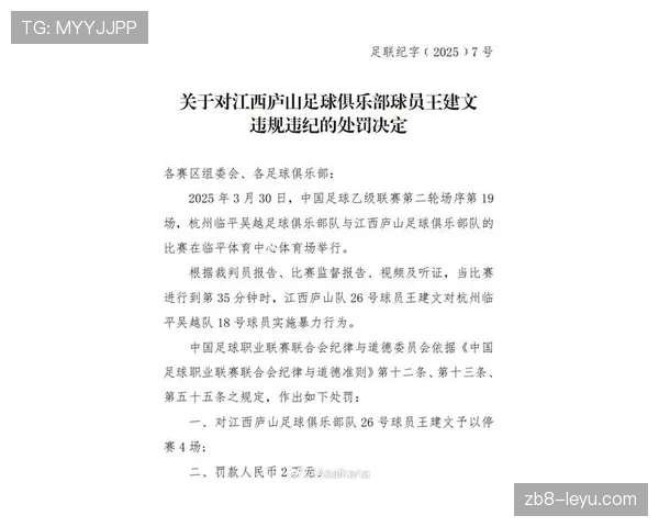 纪律委员会如何判定球员停赛?处罚标准全解析